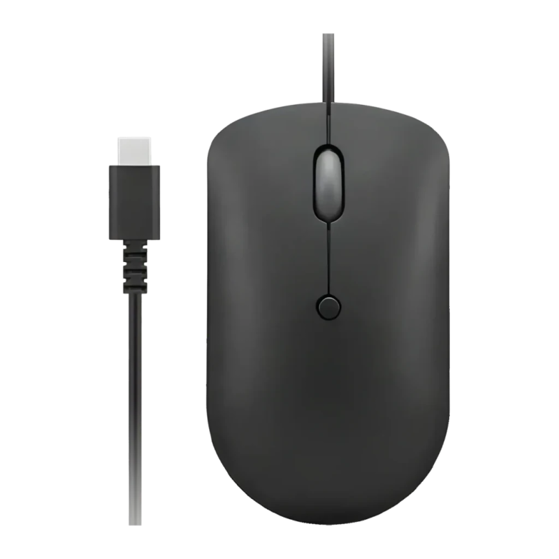 Lenovo 400 Optique Noir de Jais Filaire USB-C 2400 DPI 4 boutons 67 g Souris compacte