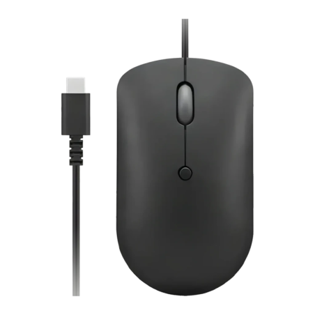 Lenovo 400 Optique Noir de Jais Filaire USB-C 2400 DPI 4 boutons 67 g Souris compacte