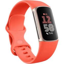 Fitbit Charge 6 Corail 1,04 pouces AMOLED GPS NFC 7 jours +40 sports 5ATM Bracelet connecté