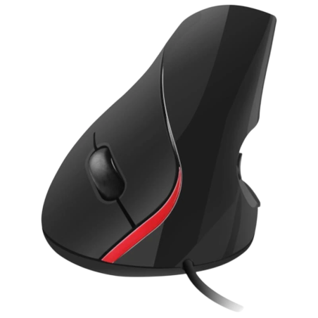 Ewent EW3156 souris USB Type-A Optique 1000 DPI