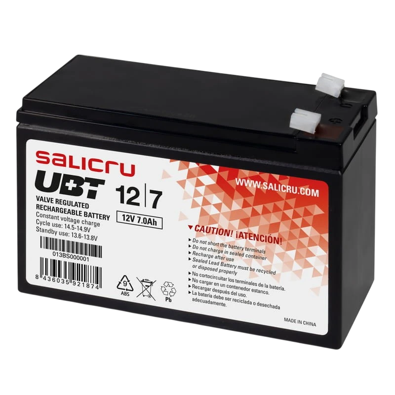 Salicru UBT 12V/7A Noir Batterie