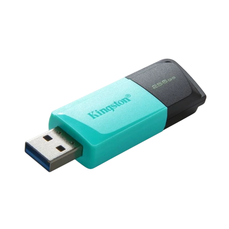 Kingston DataTraveler Exodia M 256GB Noir/Turquoise USB 3.2 Gen 1 Clé mémoire