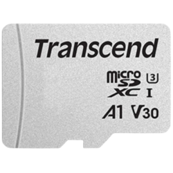 Transcend TS4GUSD300S 4GB Argent 20MB/s Classe 10 Carte microSD