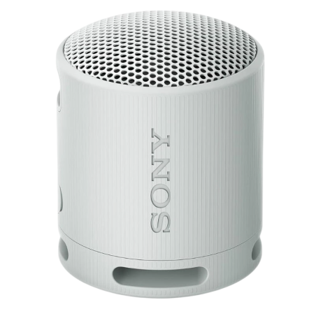 Sony SRS-XB100 Gris 3W 16h IP67 Enceinte Bluetooth 5.3