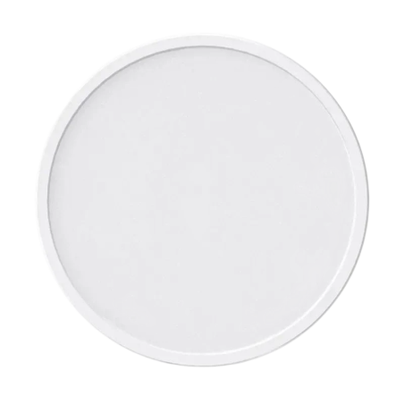 Yeelight C2201C400 WiFi Bluetooth compatible avec Alexa et Google 2700K Plafonnier connecté