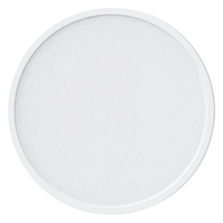Yeelight C2201C300 WiFi Bluetooth compatible avec Alexa et Google 2700K Plafonnier connecté