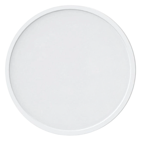 Yeelight C2201C300 WiFi Bluetooth compatible avec Alexa et Google 2700K Plafonnier connecté