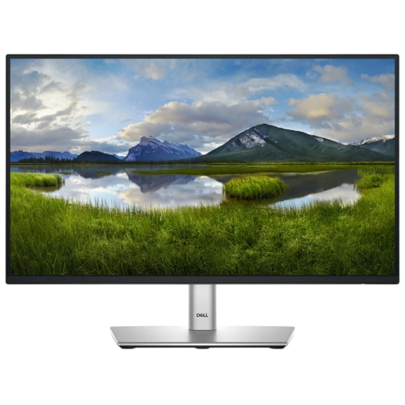 Dell P Series P2225H Noir/Argent 21,5 pouces Full HD 8ms Écran