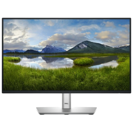Dell P Series P2225H Noir/Argent 21,5 pouces Full HD 8ms Écran