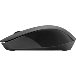 HP 150 Noir 1600 DPI 3 boutons 2.4GHz 50 g Souris