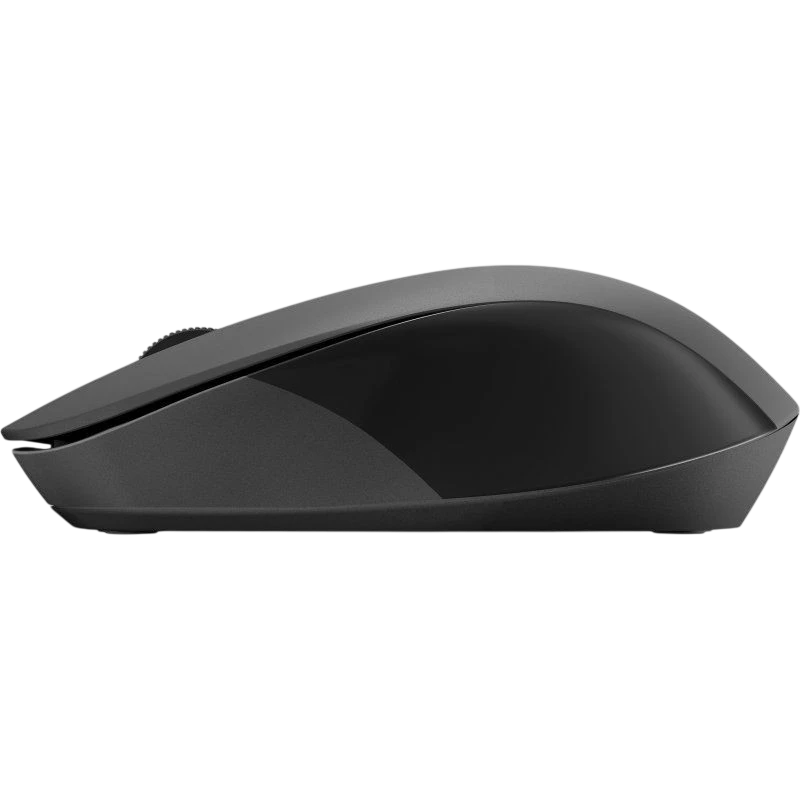 HP 150 Noir 1600 DPI 3 boutons 2.4GHz 50 g Souris