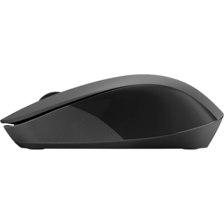 HP 150 Noir 1600 DPI 3 boutons 2.4GHz 50 g Souris
