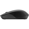 HP 150 Noir 1600 DPI 3 boutons 2.4GHz 50 g Souris