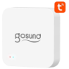Gosund S2 Alarme WiFi Bluetooth Tuya Hub connecté