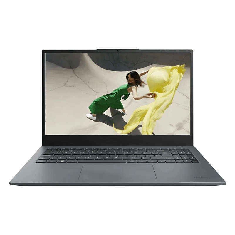 MEDION AKOYA E15443/Intel Core Ultra 5 125H/16GB/512GB/WiFi 6/W11 Home Gris 15,6 Ordinateur portable