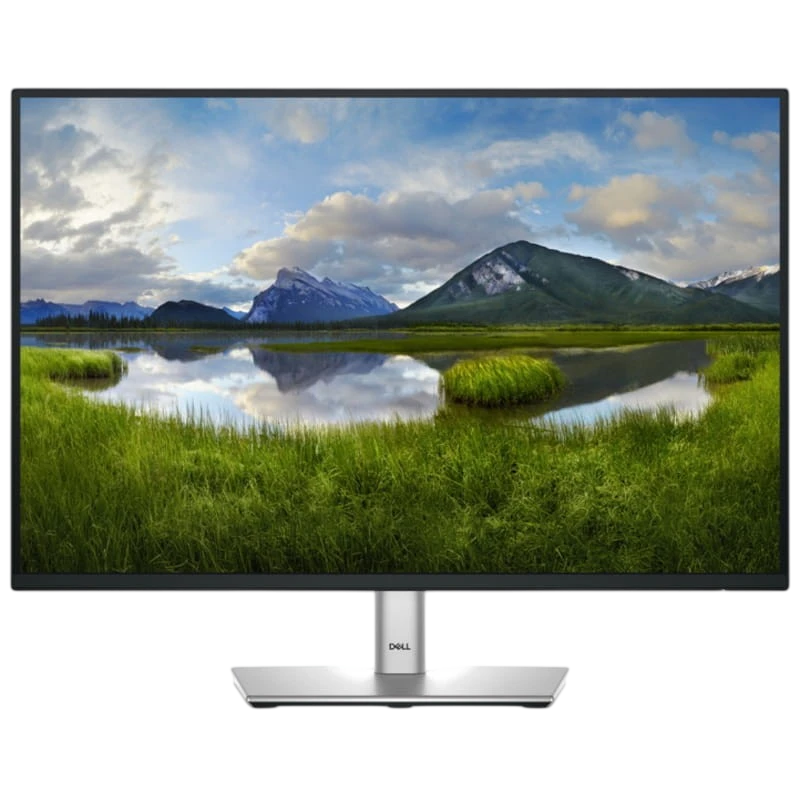 Dell P Series P2425E Noir 24,1 pouces WUXGA IPS 8ms USB-C Écran