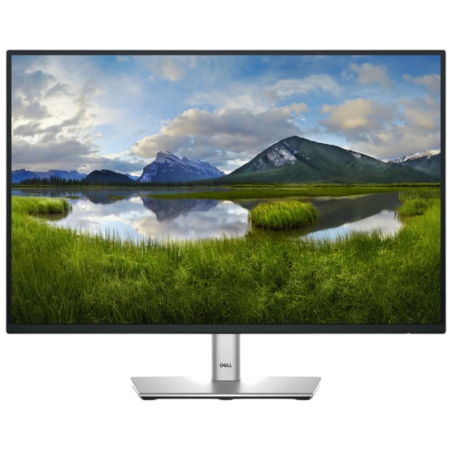 Dell P Series P2425E Noir 24,1 pouces WUXGA IPS 8ms USB-C Écran