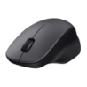 Xiaomi Wireless Mouse Comfort Edition Noir 1200 DPI 62 g Souris sans fil
