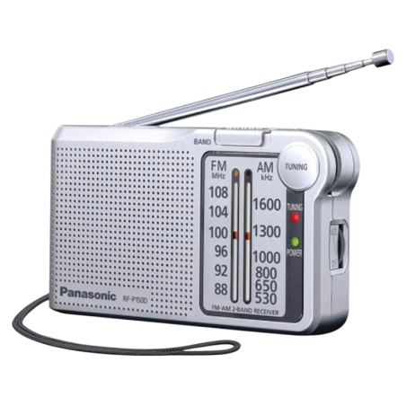 Panasonic RF-P150DEG AM/FM Argent Radio
