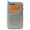 Daewoo DW1115 Gris FM Radio portable