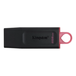 Kingston DataTraveler Exodia 256GB USB 3.2 Clé mémoire