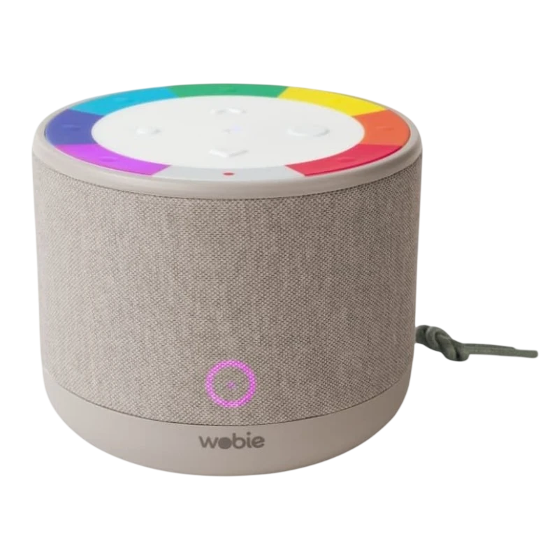 Wobie Box Gris IPX5 2200mAh mains libres entrée AUX WiFi Enceinte Bluetooth 5.3