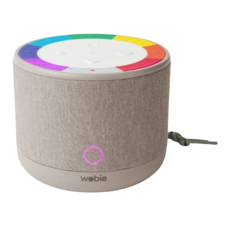 Wobie Box Gris IPX5 2200mAh mains libres entrée AUX WiFi Enceinte Bluetooth 5.3