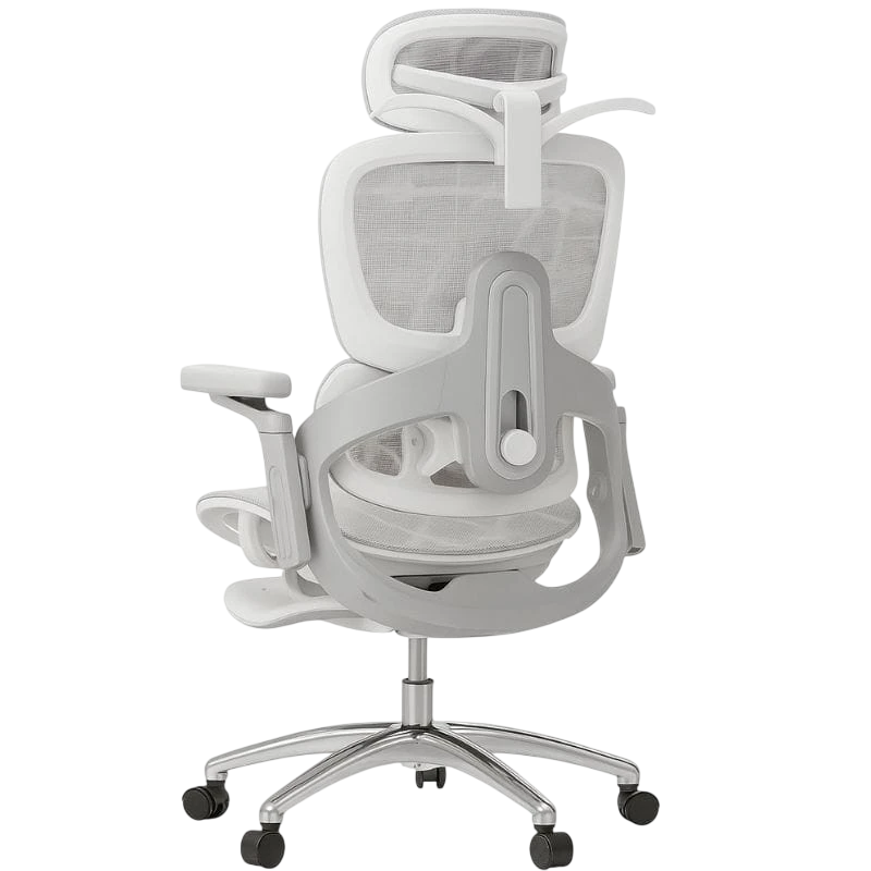 Powerbasic Elvas Gris 150kg accoudoirs 3D appuie-tête coussin lombaire repose-pieds Chaise de bureau ergonomique