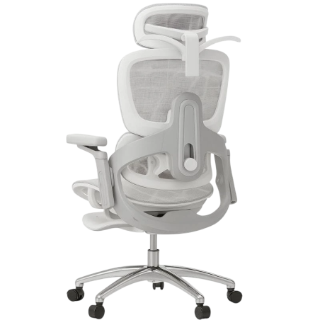 Powerbasic Elvas Gris 150kg accoudoirs 3D appuie-tête coussin lombaire repose-pieds Chaise de bureau ergonomique