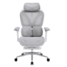 Powerbasic Beja Gris 120kg appuie-tête coussin lombaire maille Chaise de bureau ergonomique