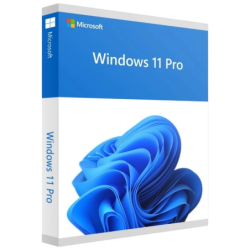 Microsoft Windows 11 Pro 1 Licence