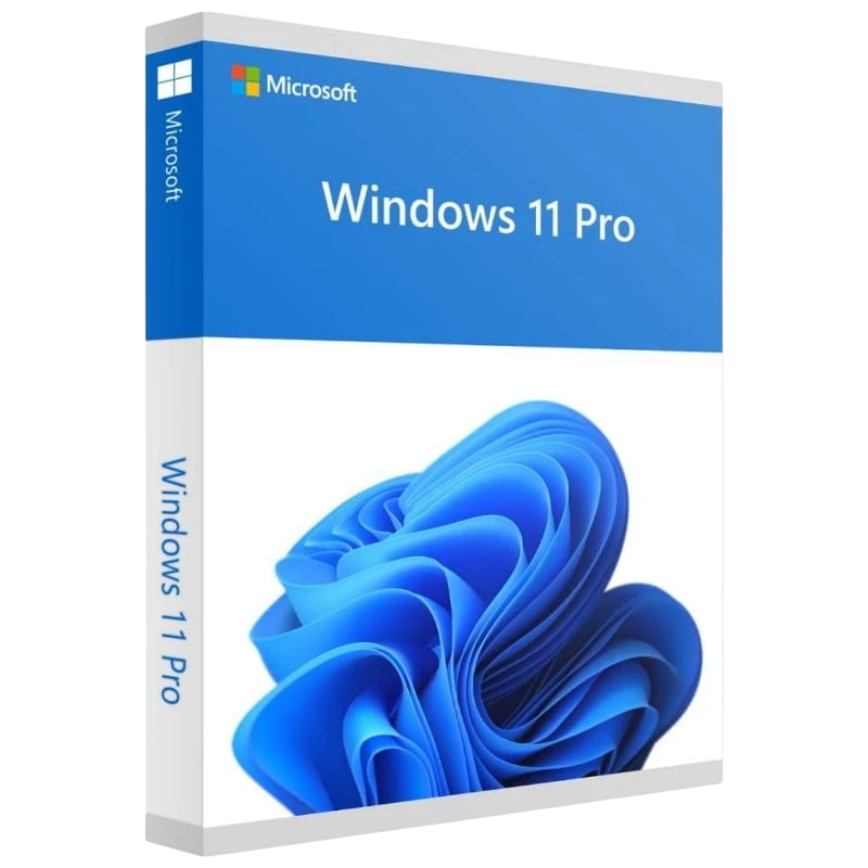 Microsoft Windows 11 Pro 1 Licence