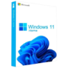 Microsoft Windows 11 Home 1 Licence