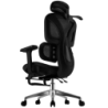 Powerbasic Beja Noir 120kg appuie-tête coussin lombaire maille Chaise de bureau ergonomique