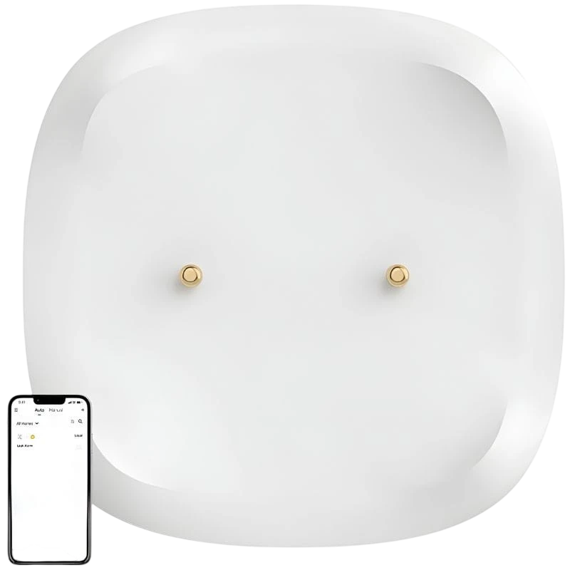 Capteur intelligent de fuite d'eau/inondation ZigBee SONOFF SNZB-05P (+batterie)