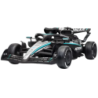 Mercedes-AMG Petronas F1 12V avec Télécommande Parentale Noir Vert Petronas lumières LED musique Voiture électrique enfant