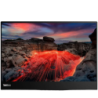 Lenovo ThinkVision M14t Gen 2 2,2K Tactile 14 pouces 6ms Écran portable