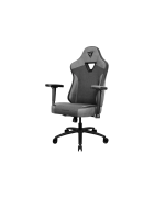 Chaises gaming Thunder