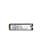 Disques SSD 500 Go