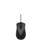 Souris