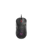 Souris Mars